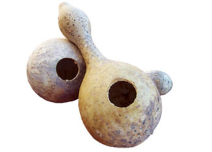 How to Make a Gourd Birdhouse Image